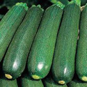 photo - courgette