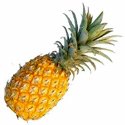 photo - ananas