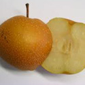 photo - pomme-poire