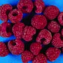 photo - framboise