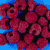 framboises