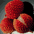 Litchi