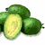 Feijoa