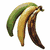 Banane plantain