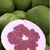 Pomelo